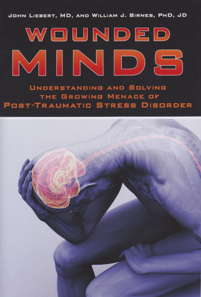 Cover of Wounded Minds.