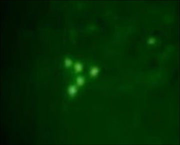 Image of a green triangle-like object in the night sky. Image of a green triangle-like object in the night sky.